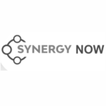 synergy_logo